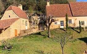 Gite Chez Le Gaulois